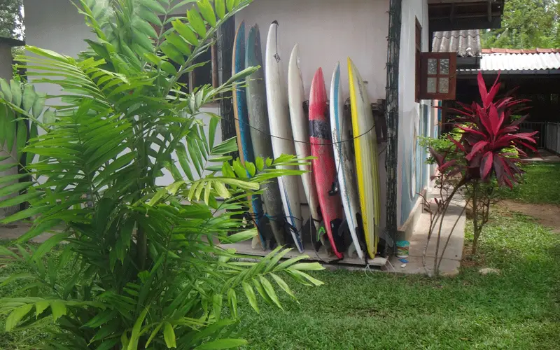 A row of surfboards standing against the wall at Surfing Life Guest House
