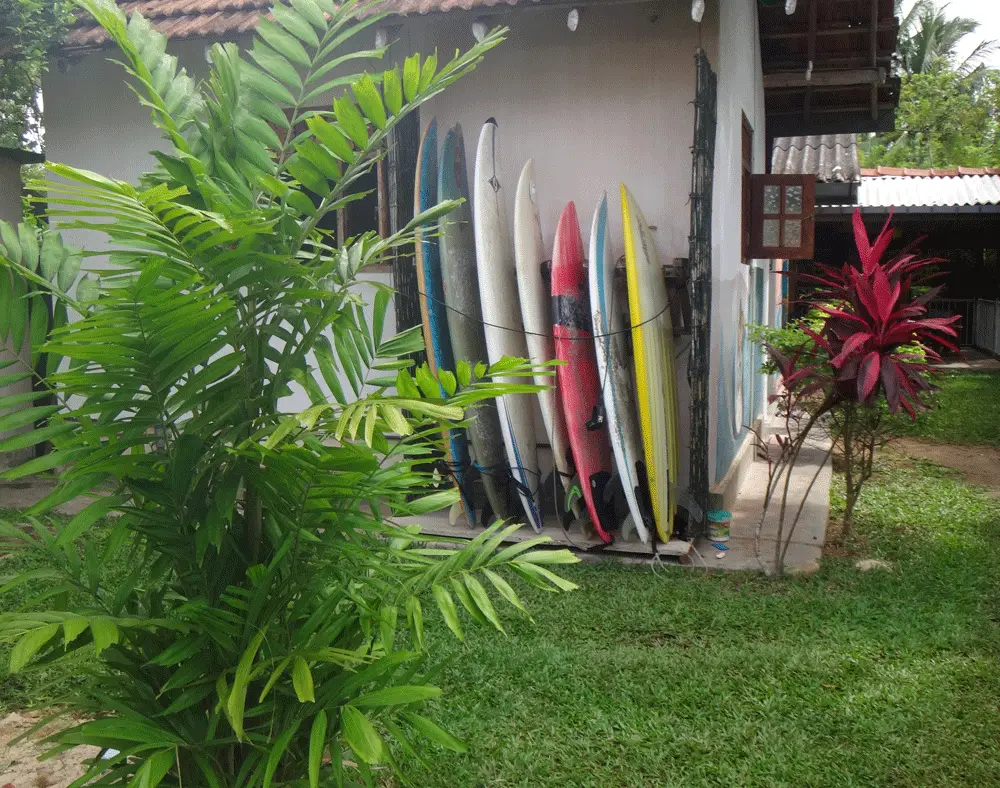 A row of surfboards standing against the wall at Surfing Life Guest House