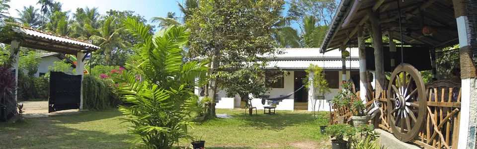 Entrance garden and veranda of Surfing Life Guest House surrounded by palm trees