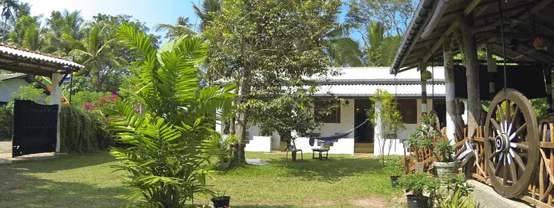 Entrance garden and veranda of Surfing Life Guest House surrounded by palm trees