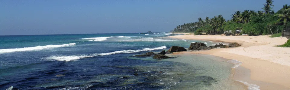 Reef, waves and a palm-fringed beach on the coast near Gurubebila and Midigama
