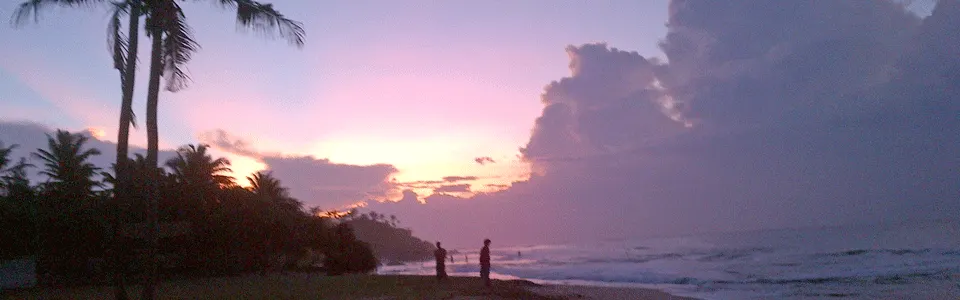 Pink and purple sunset over the ocean with palm trees and people on the beach