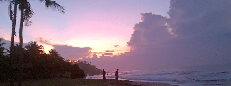 Pink and purple sunset over the ocean with palm trees and people on the beach