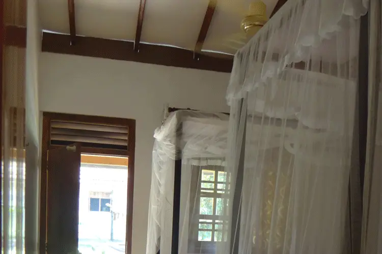 Twin room at Surfing Life with mosquito nets over the beds and a surfboard by the door