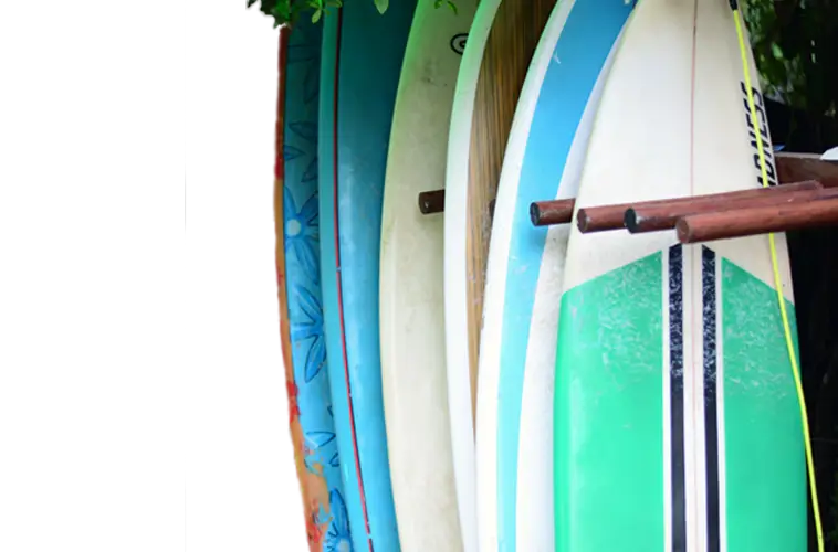 A rack of colourful surfboards in the garden at Surfing Life Guest House, Weligama