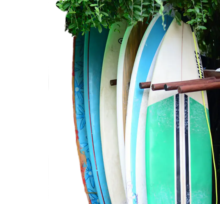 A rack of colourful surfboards in the garden at Surfing Life Guest House, Weligama